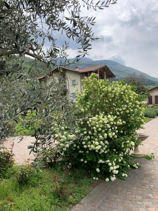 Agritur Stefenelli Hostal Torbole Sul Garda Exterior foto