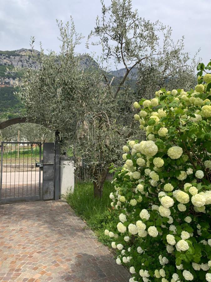 Agritur Stefenelli Hostal Torbole Sul Garda Exterior foto