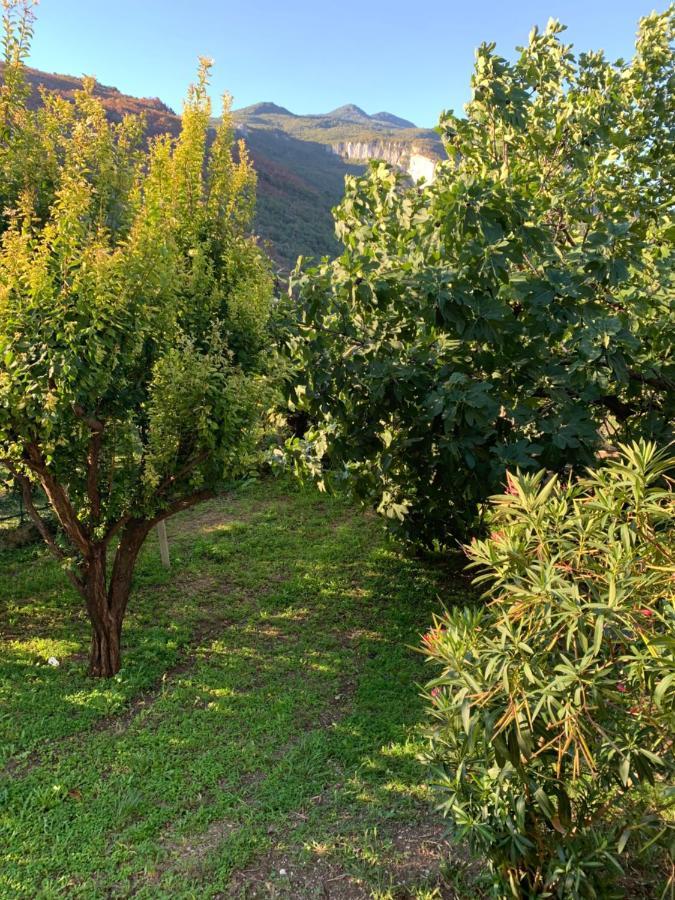 Agritur Stefenelli Hostal Torbole Sul Garda Exterior foto